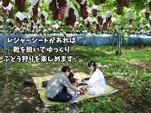 ピクニック気分でお楽しみください♪_西尾農園(柏原市観光ぶどうセンター太平寺支部)