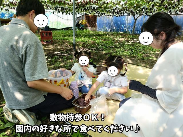お弁当の持ち込みもOKです_西尾農園(柏原市観光ぶどうセンター太平寺支部)