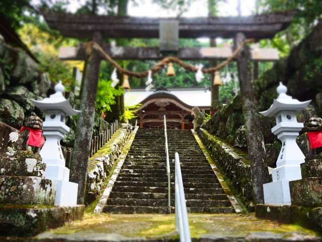 熊野神社_Ekimaehouse Samaru