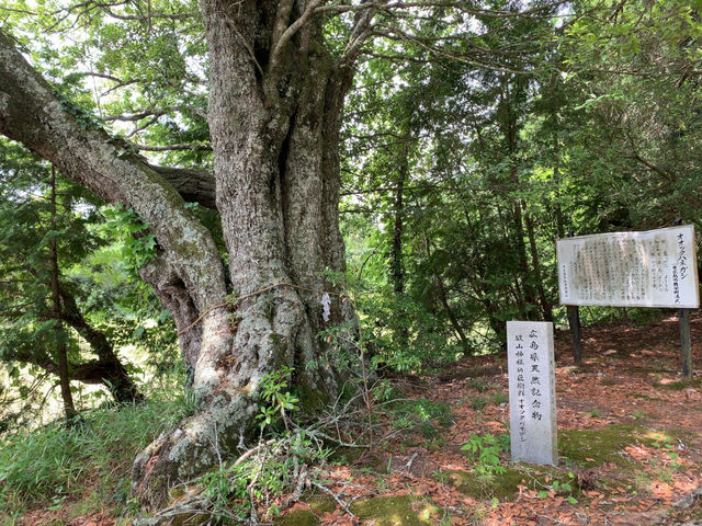 畝山神社