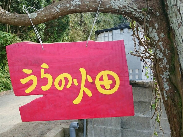 うらの畑