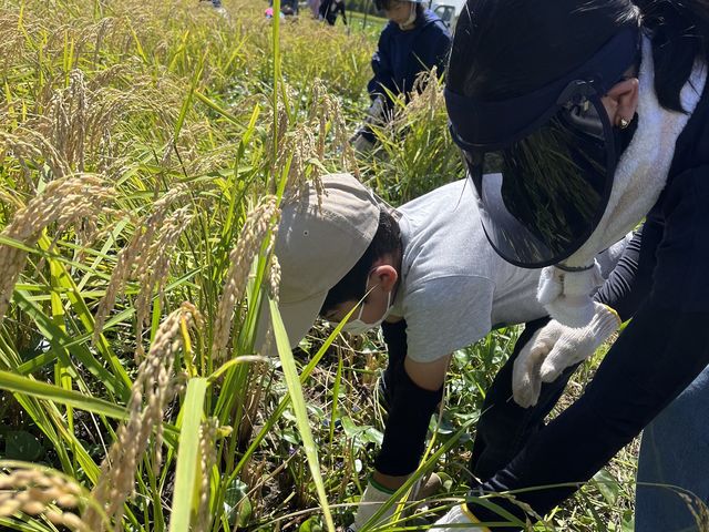 ファームインさぎ山
