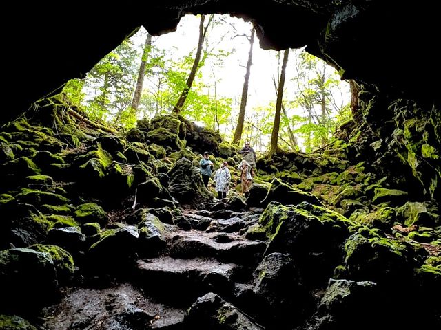 神秘の森 樹海をお散歩♪_A_STAND Mt,Fuji