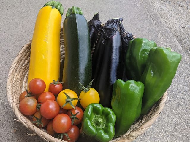 農薬・化学肥料・除草剤不使用の安心・安全な野菜!_田舎遊園地