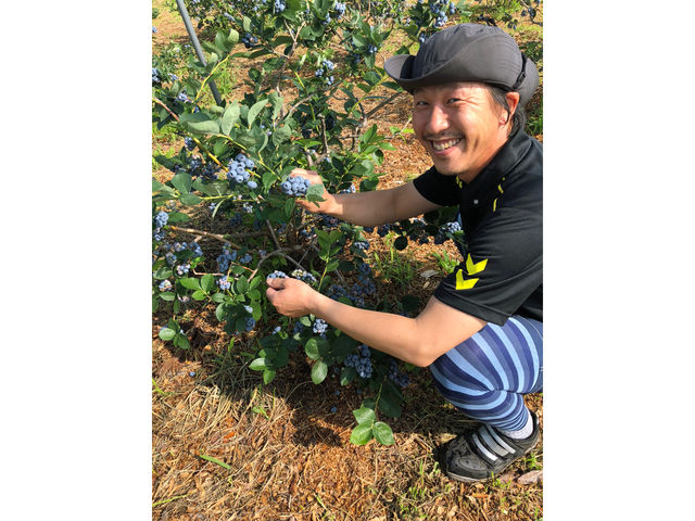 信州山形村 B.B唐沢園 ブルーベリーファーム
