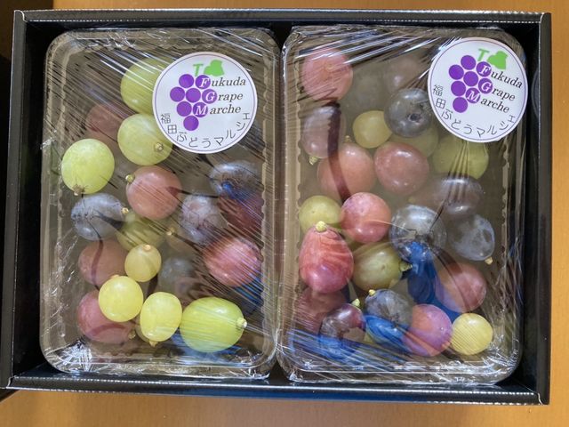 人気の玉盛箱(たまもりばこ)。_福田ぶどうマルシェ