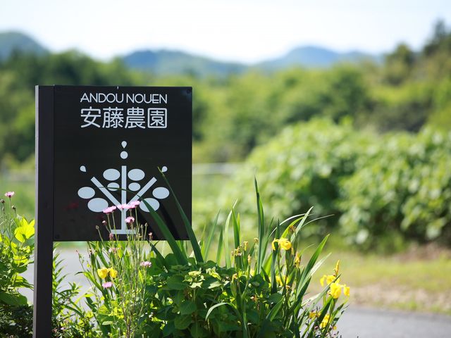 駐車場完備(10台)_安藤農園