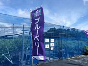 赤塚ブルーベリーガーデンの写真4