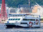 神戸シーバス boh boh KOBEの写真2