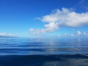 ライクアドルフィン石垣の写真4