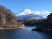キョウロロの写真2