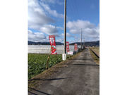 ワイワイ・ファームの写真2