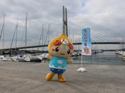 青木ヨットスクールの写真3
