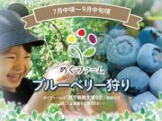 めぐファーム・ゴカの写真3