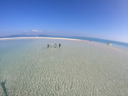 OG DIVE SERVICEの写真3