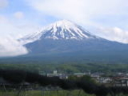 富士山邑ファームの写真4