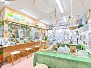 森ノ宮 小鳥ひろばの写真4