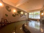 昭和湯治の宿 緑華苑の写真2