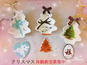 putiakuamarinの写真4