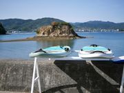 大芝島SUPクラブの写真2