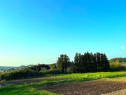 Scoop Farmの写真4