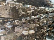 アグリバンクの写真3