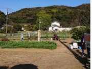 福田みかん園の写真2