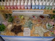 天然シーグラス専門店 A-GLASSの写真3
