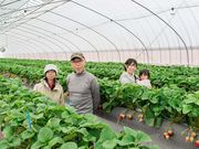 えんどう農園の写真3