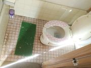 つり堀・南畑R463の写真2