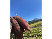 カズ屋の写真3