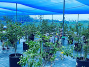 Blueberry Farm HAMANAKOの写真2