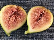 荒井農園の写真3