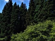 横手養蜂園の写真2