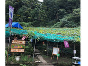 山本(〇山)農園(柏原市観光ぶどうセンター)の写真2