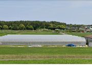 ゆいまーるFARMの写真3