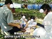 西尾農園(柏原市観光ぶどうセンター太平寺支部)の写真3