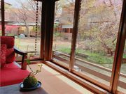 苔玉工房 TACHIOKAYAの写真2