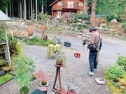 苔玉工房 TACHIOKAYAの写真3