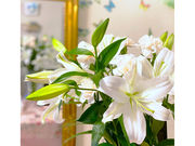 東千石町サロンドローズの写真3