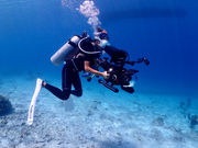 F's GAME DIVINGの写真2