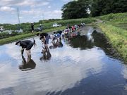 ファームインさぎ山の写真2