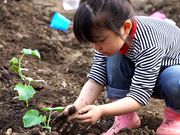 田舎遊園地の写真2