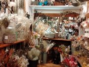 Little Cona 和邇店の写真3