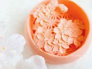 Carving Chiakiの写真2