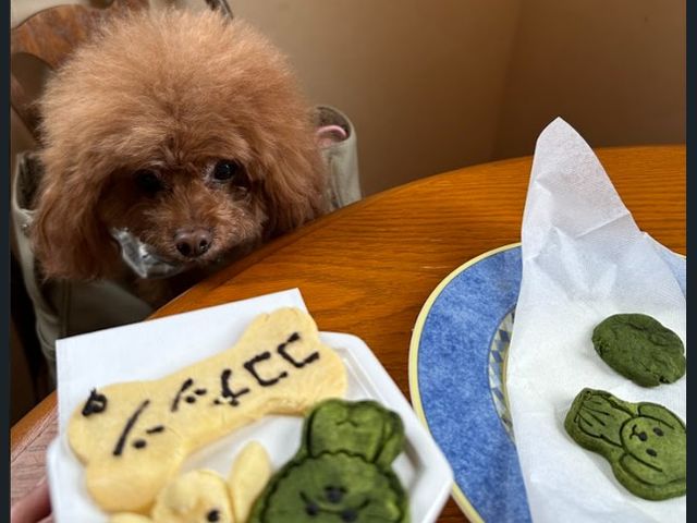 ドッグカフェ MUSUBU KITCHEN