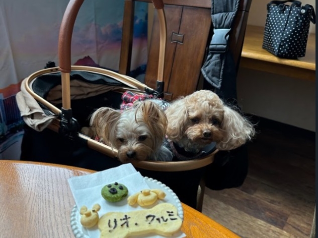 ドッグカフェ MUSUBU KITCHEN