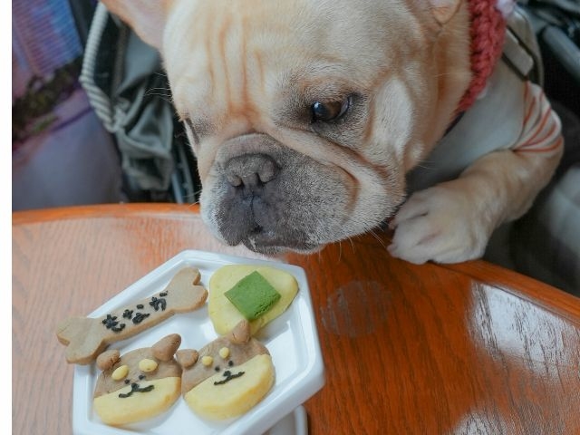 ドッグカフェ MUSUBU KITCHEN