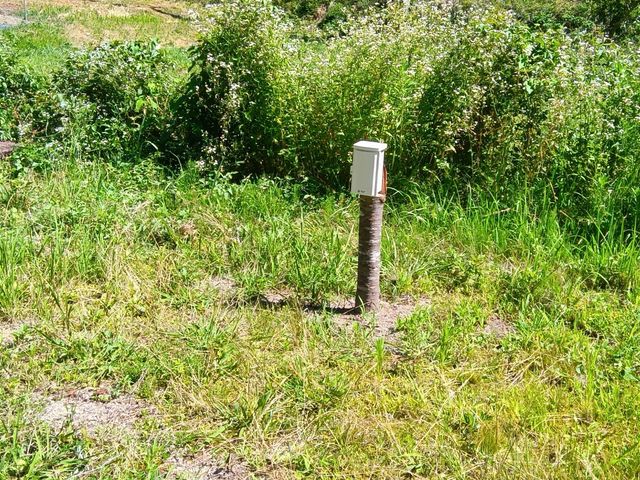 電源は3か所あります。_オートキャンプ場 川のほとり