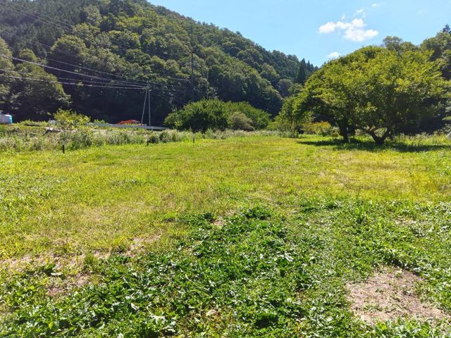 オートキャンプ場 川のほとり
